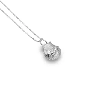 Baby Scallop Shell Pendant