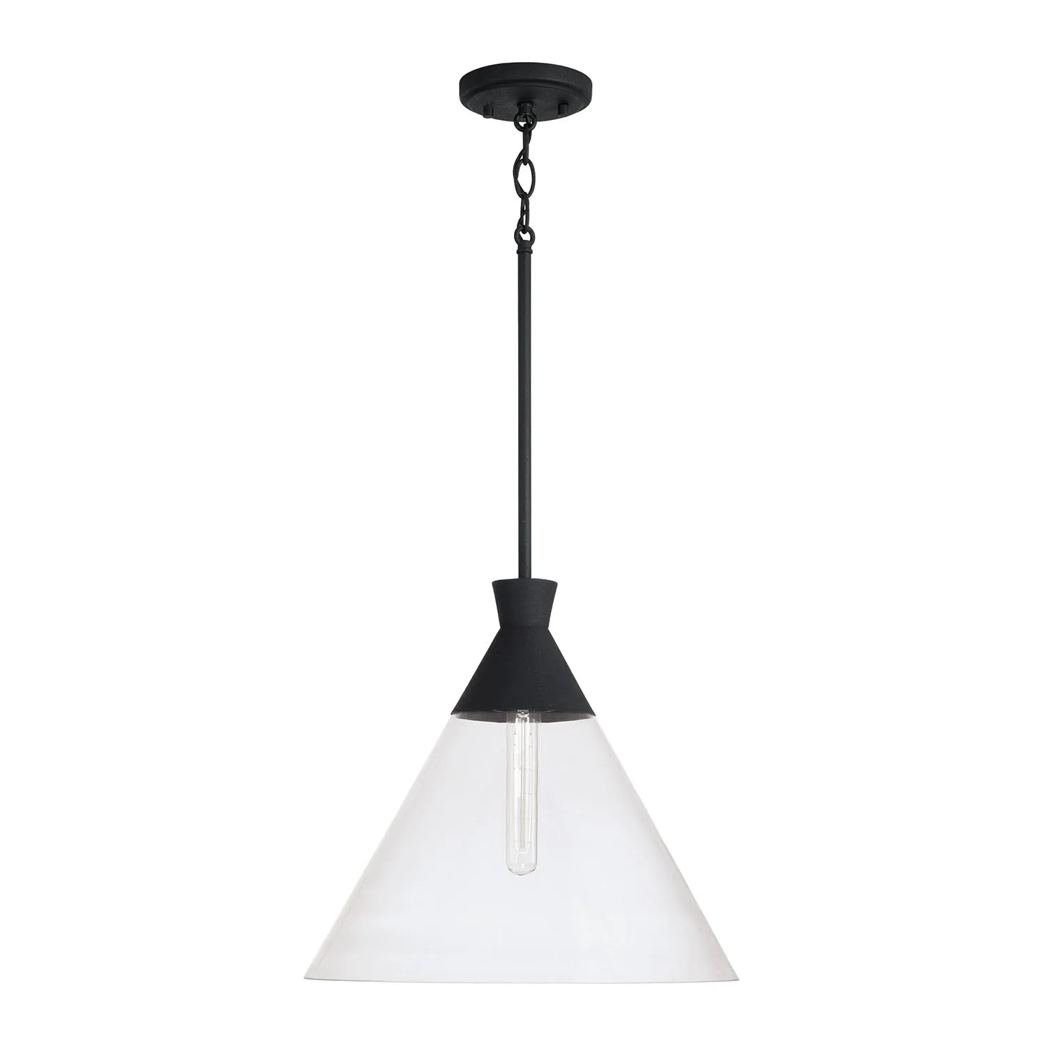 PALOMA 1-LIGHT CLEAR GLASS PENDANT, TEXTURED BLACK