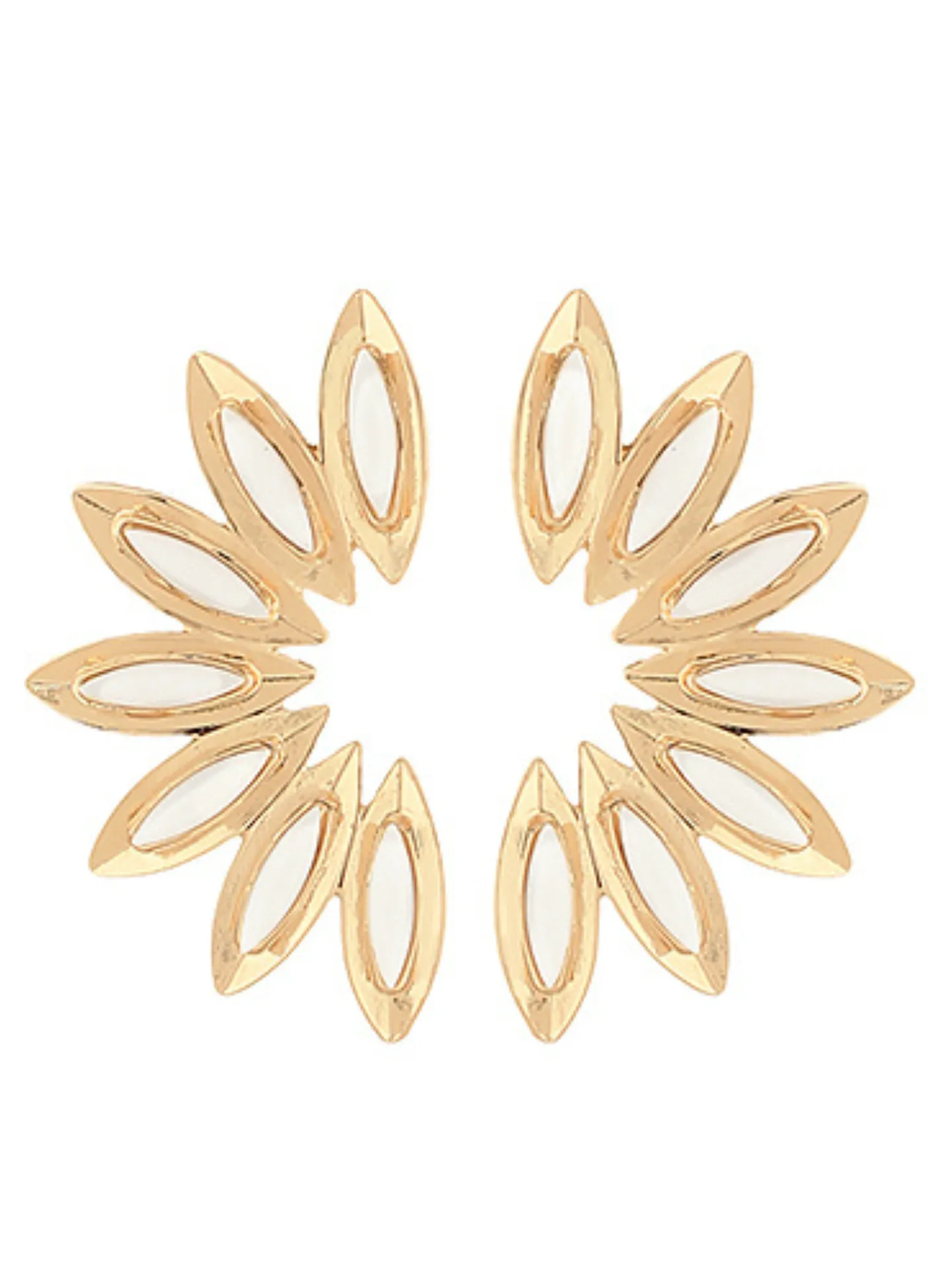 Wing Shape Earrings